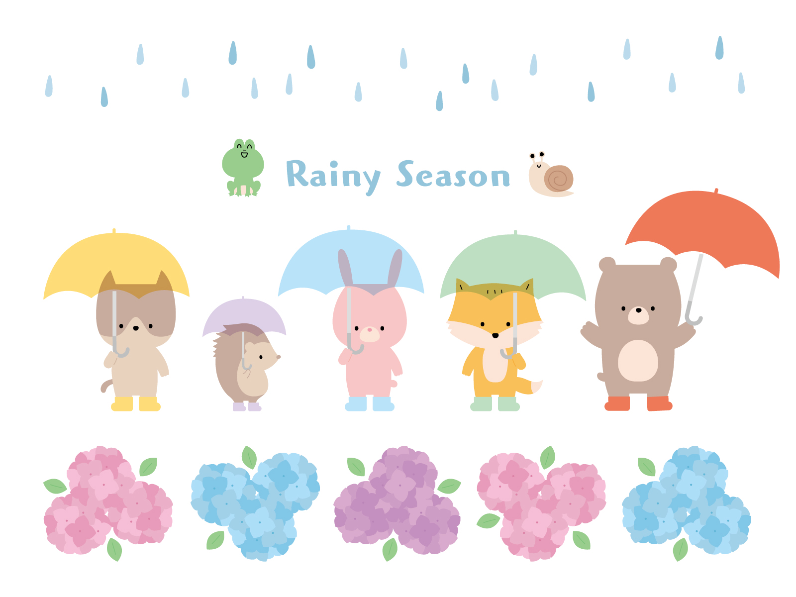 ☔入梅🐸